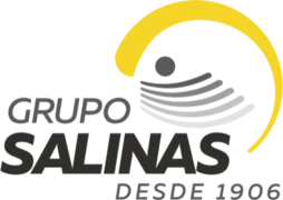 Grupo Salinas
